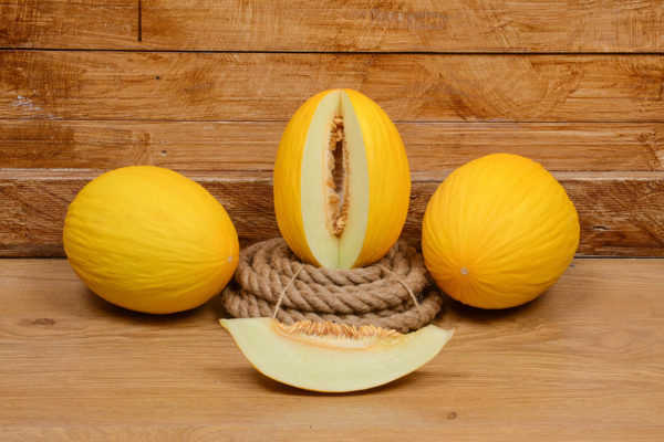 melon-house-fair-amarillo-ambarino-01