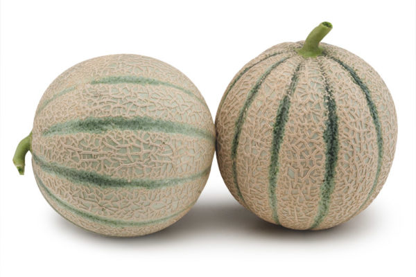 melon-house-fair-cantaloupe-e25c00750-00