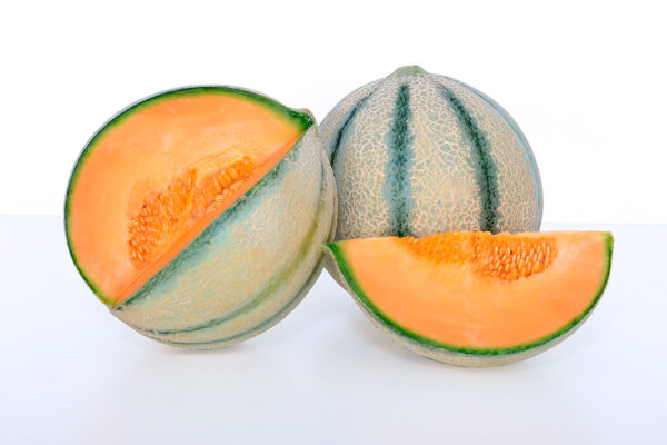melon-house-fair-cantaloupe-ketzal-02