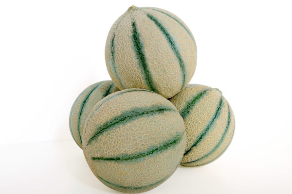 melon-house-fair-cantaloupe-ketzal-03