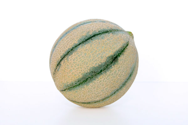 melon-house-fair-cantaloupe-ketzal-04