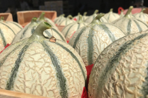 melon-house-fair-charentais-makeba-02