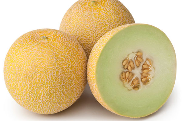 melon-house-fair-galia-ancestral melon-house-fair-galia-ancestral