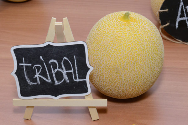 melon-house-fair-galia-tribal-01