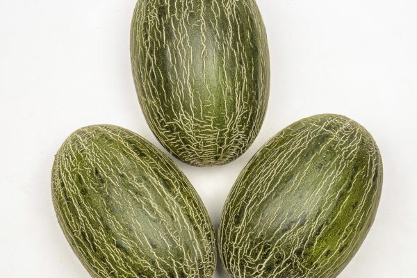 melon-house-fair-piel-de-sapo-osorio-03
