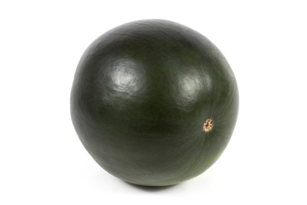 enza-zaden-melon-house-fair-watermelon-tyrion-01