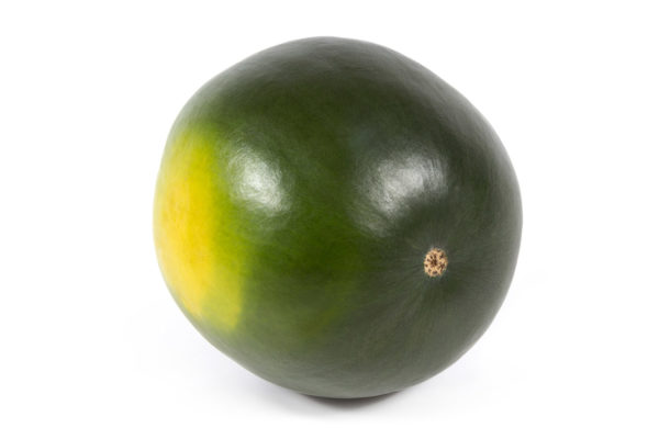 enza-zaden-melon-house-fair-watermelon-tyrion-02